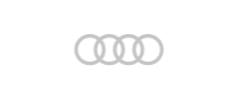 audi-ikon